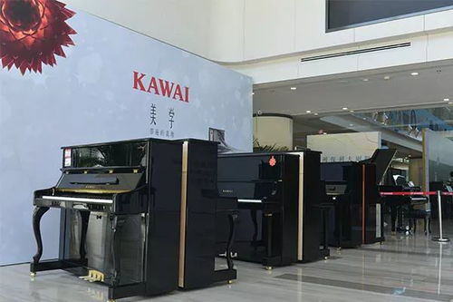 听真言 品名琴 薛汀哲钢琴大师班暨2018柏斯琴行重点产品推介会 苏州站