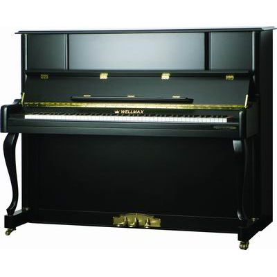 威美克斯-威美克斯-金华文海琴行 金华琴行产品分类