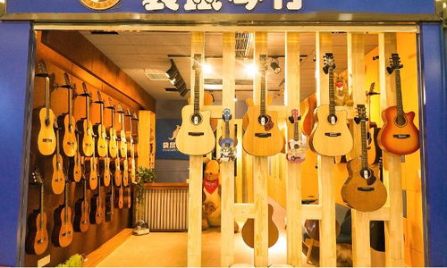 郑州袋鼠琴行好不好 袋鼠琴行怎么样 淘学培训