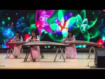 龙华新区筝韵琴行 沉浸古筝培训，尽享古风魅力