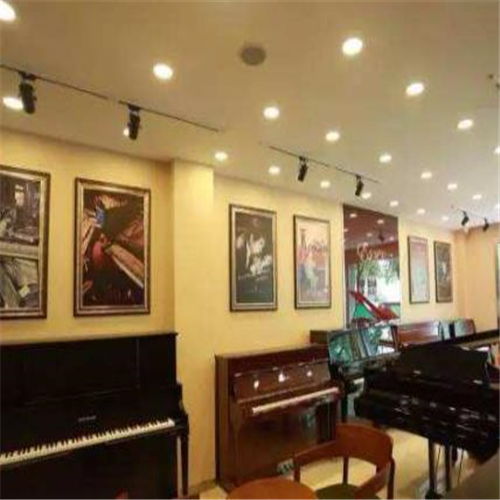 和声琴行加盟指南 费用、条件与联系方式解析